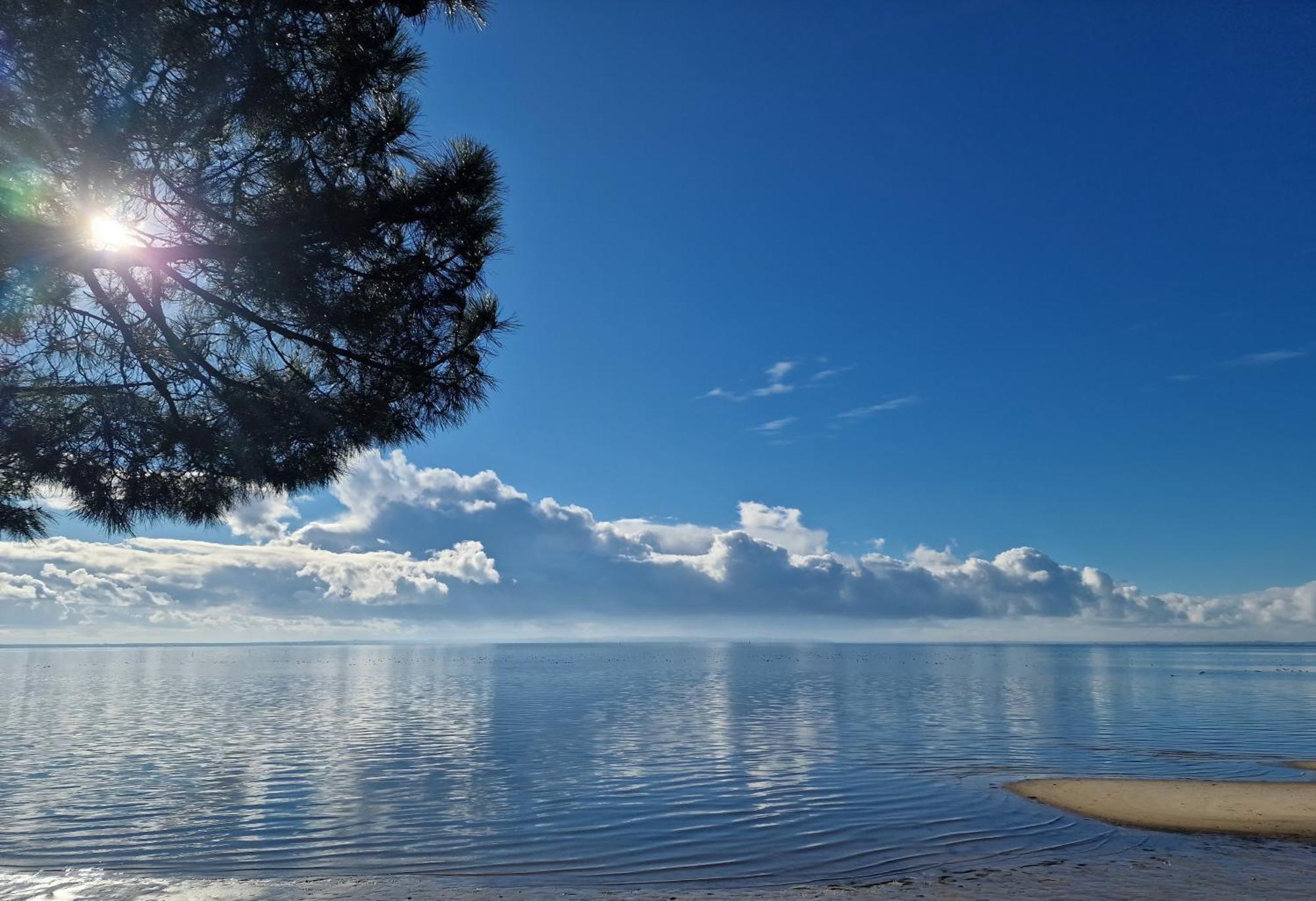 Villa Petit-Pere - A 400M De La Plage Taussat-les-Bains Eksteriør bilde